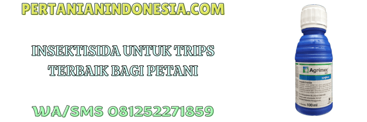 insektisida,trips,thrips,racun serangga,pestisida,pertanian indonesia